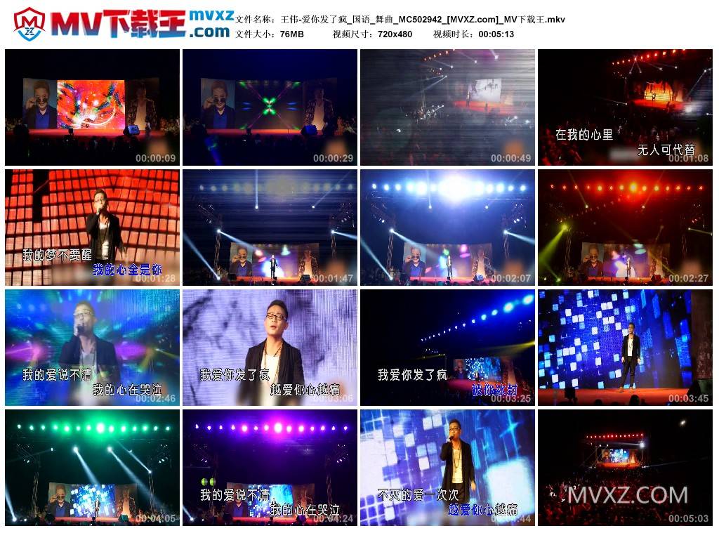 王伟-爱你发了疯_国语_舞曲_MC502942